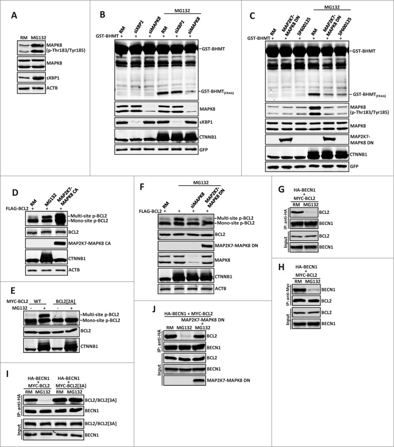 Figure 5 (See previous page).