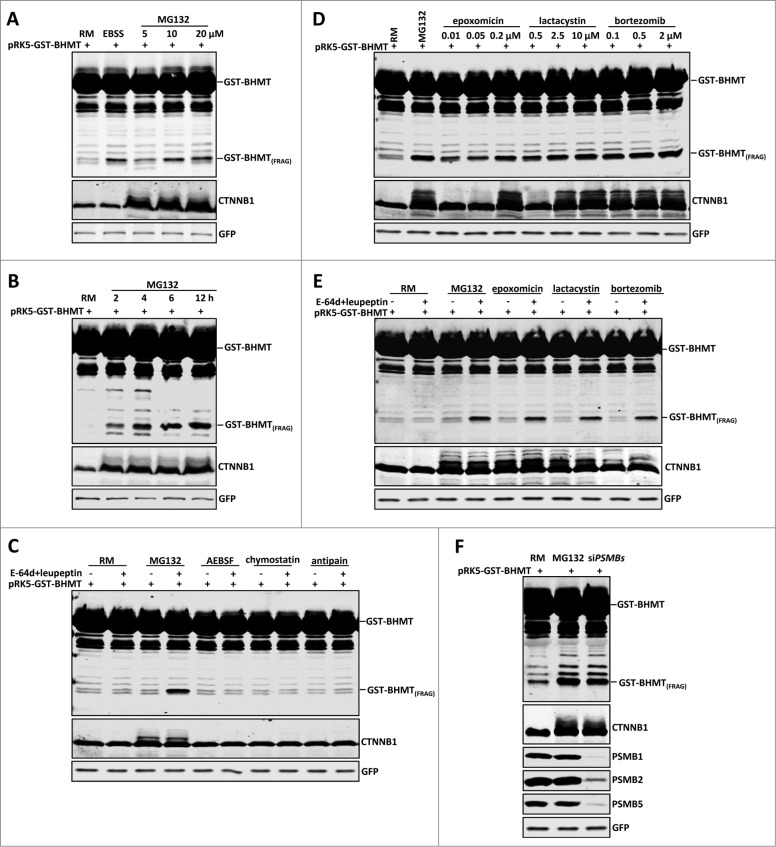 Figure 1 (See previous page). 