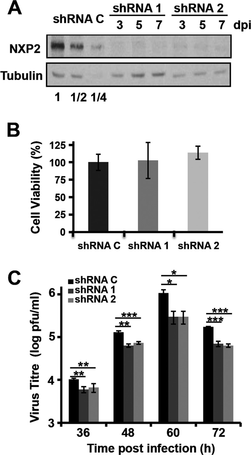 FIG 3