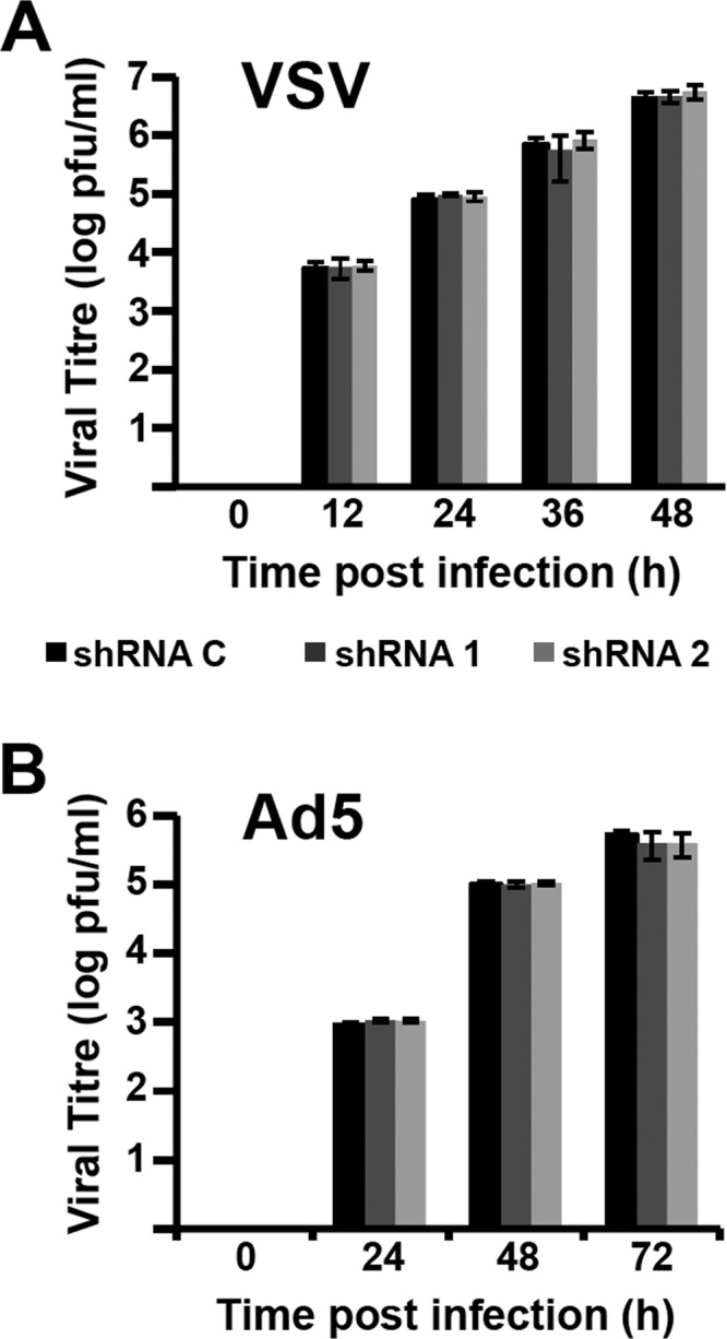 FIG 4