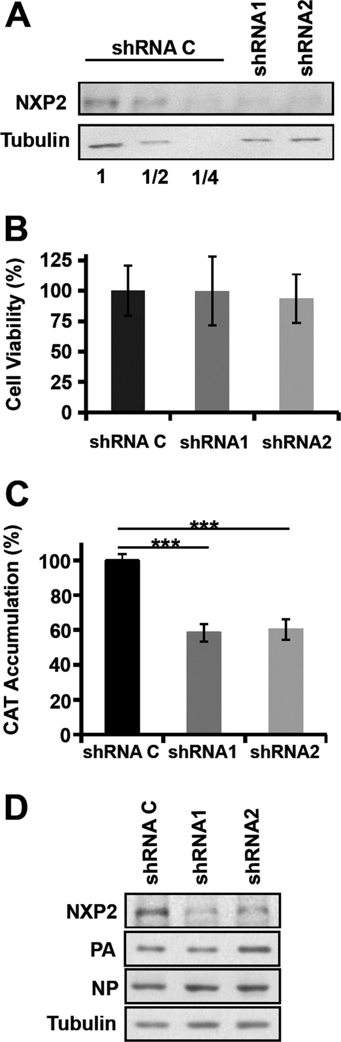 FIG 6