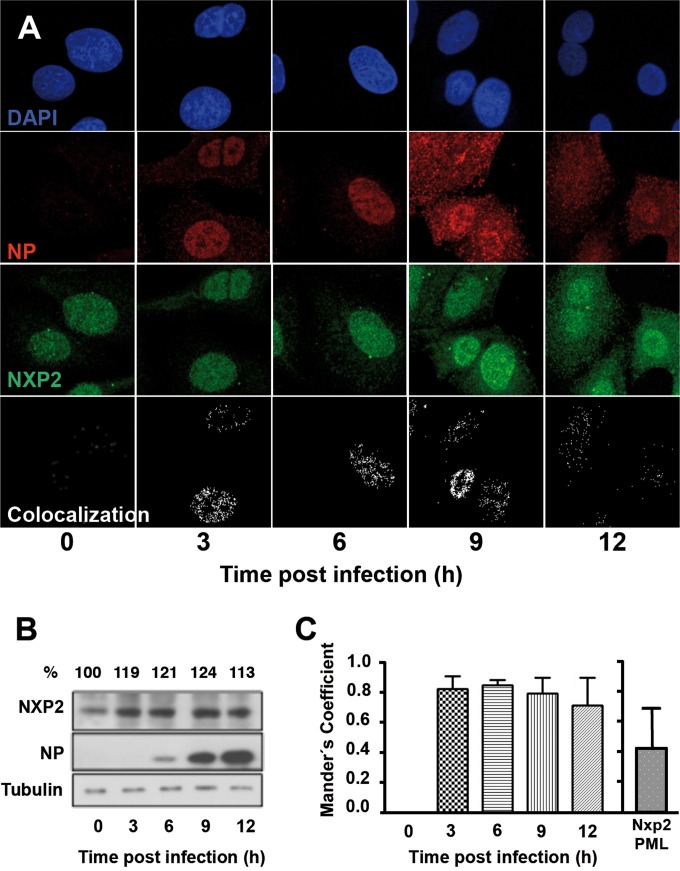 FIG 2