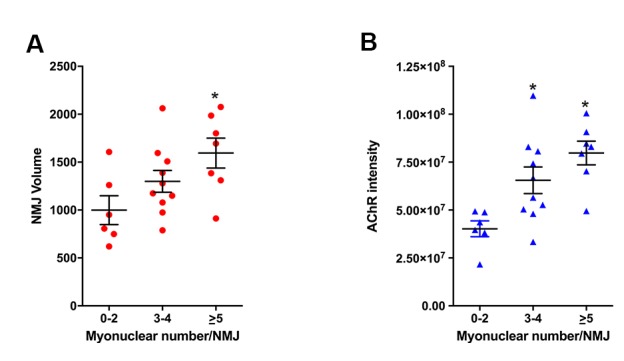 Figure 2—figure supplement 1.