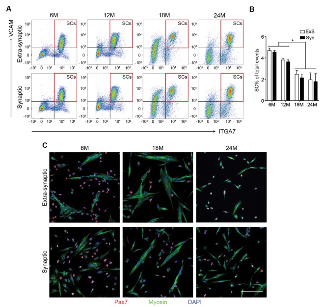 Figure 2—figure supplement 2.