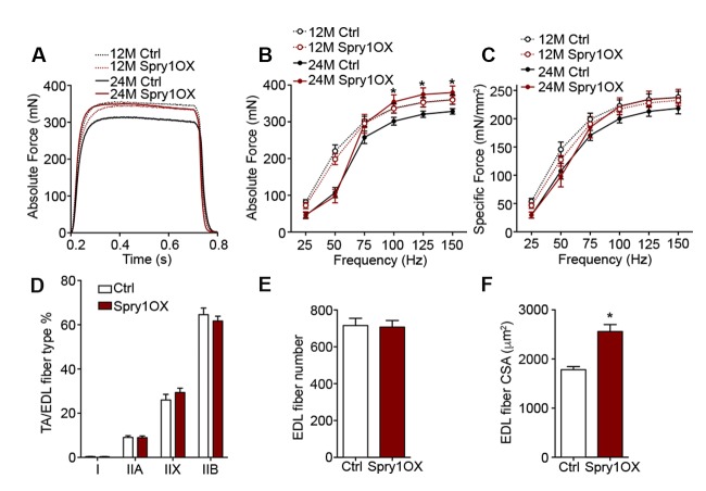 Figure 4—figure supplement 2.