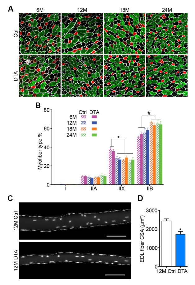 Figure 3—figure supplement 5.