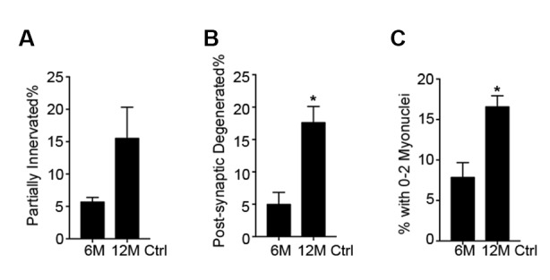 Figure 3—figure supplement 3.