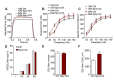 Figure 4—figure supplement 2.