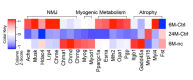 Figure 1—figure supplement 2.