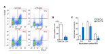 Figure 3—figure supplement 4.