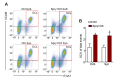 Figure 4—figure supplement 1.