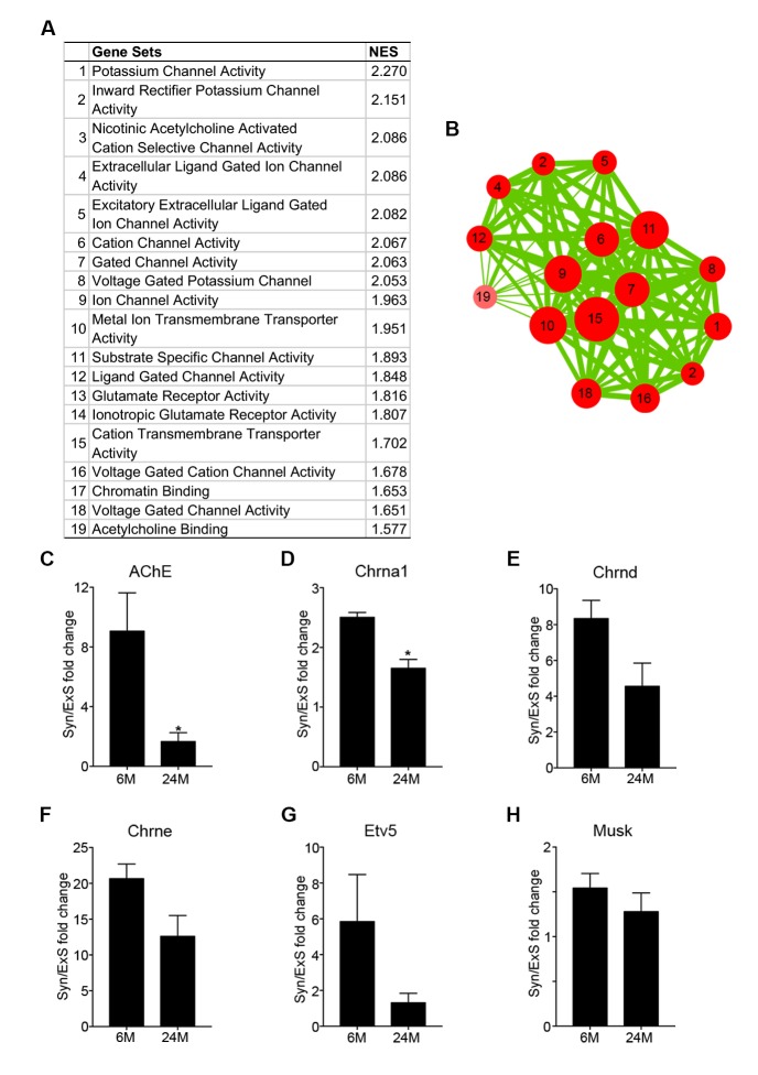 Figure 1—figure supplement 1.