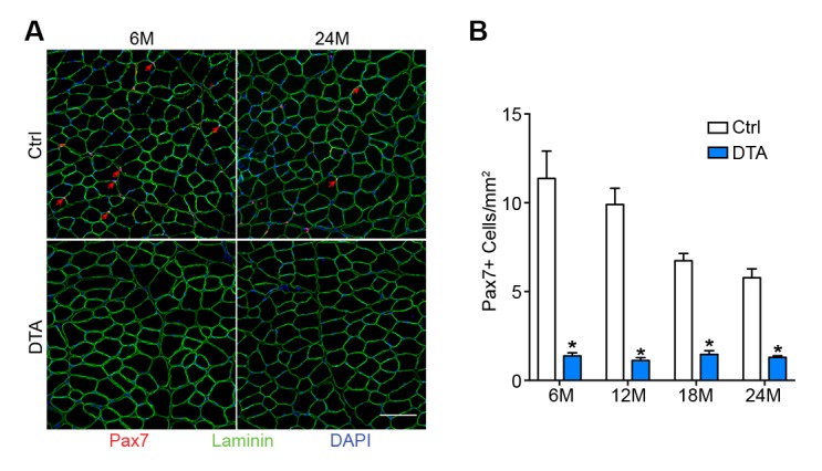 Figure 3—figure supplement 2.