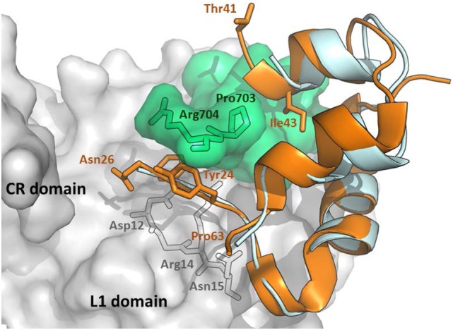 Figure 2