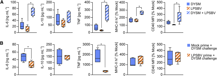 Figure 7