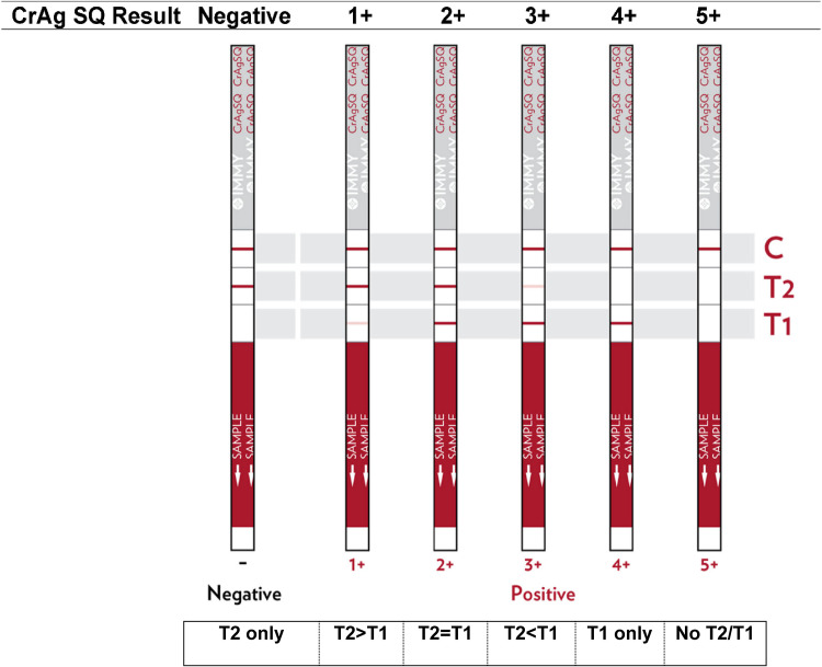 FIG 1