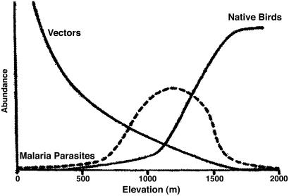 Fig 1.