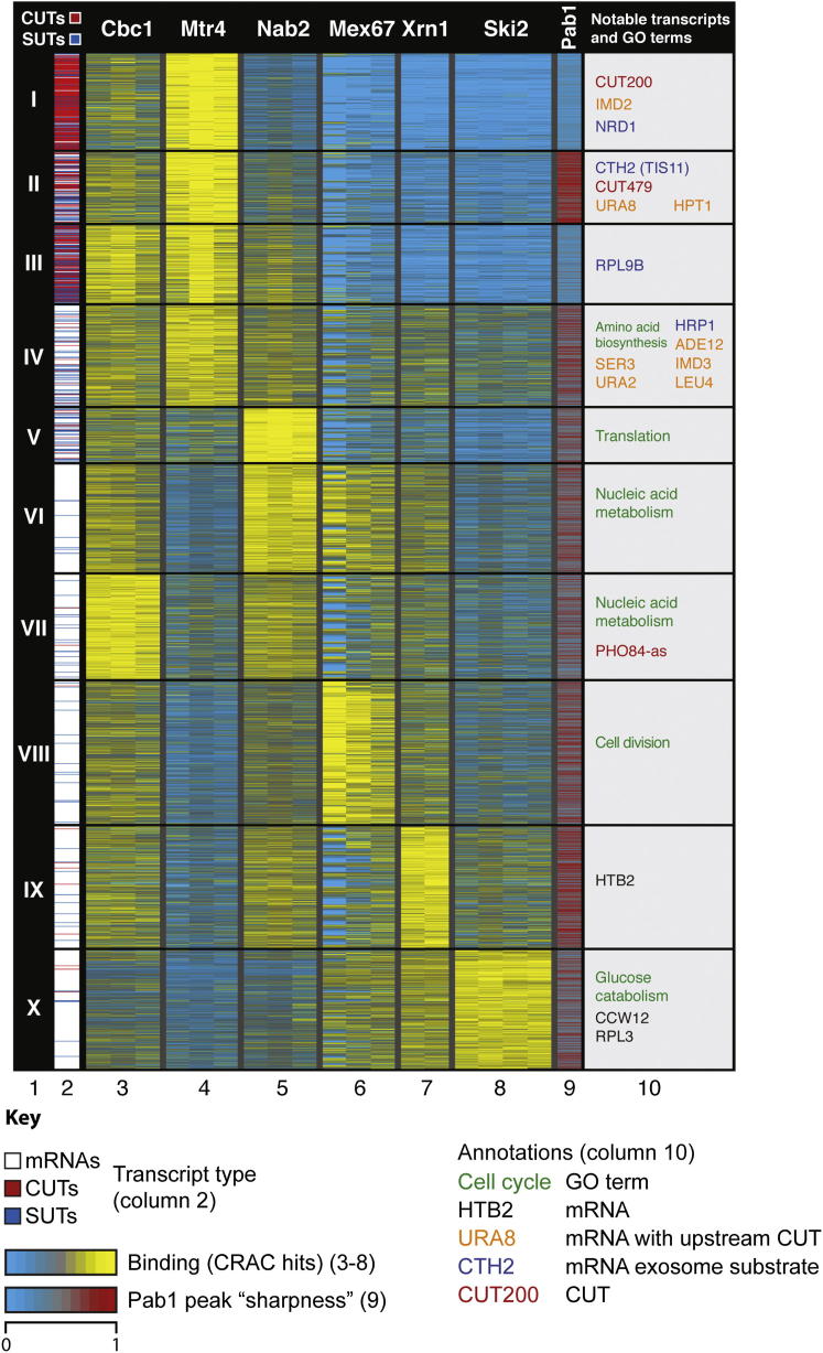 Figure 2