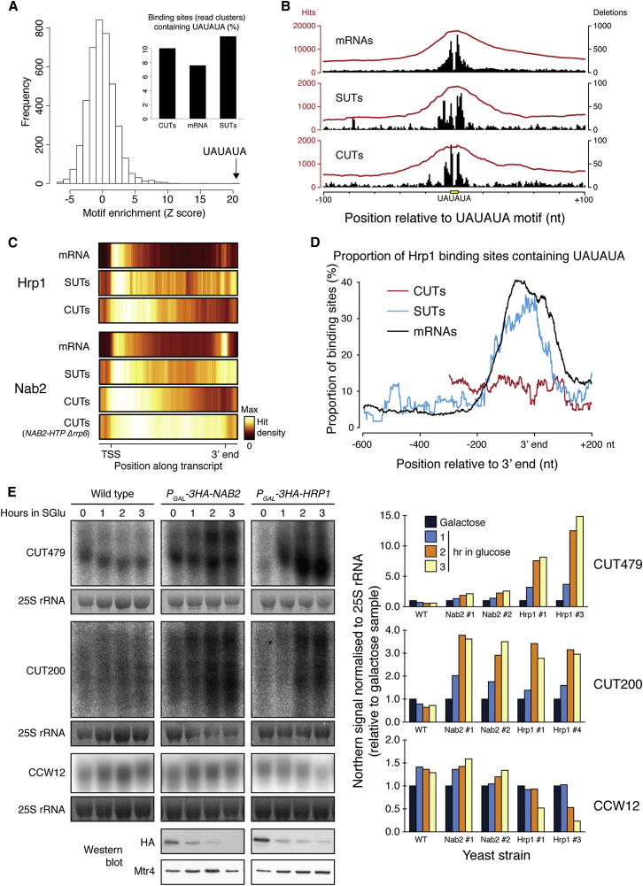 Figure 4