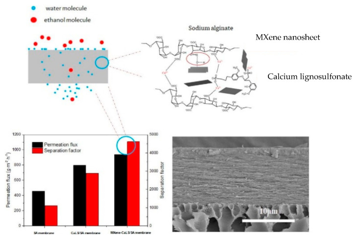 Figure 21