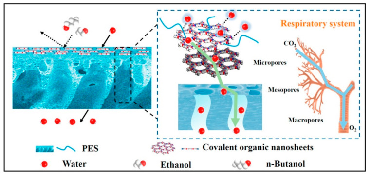 Figure 26