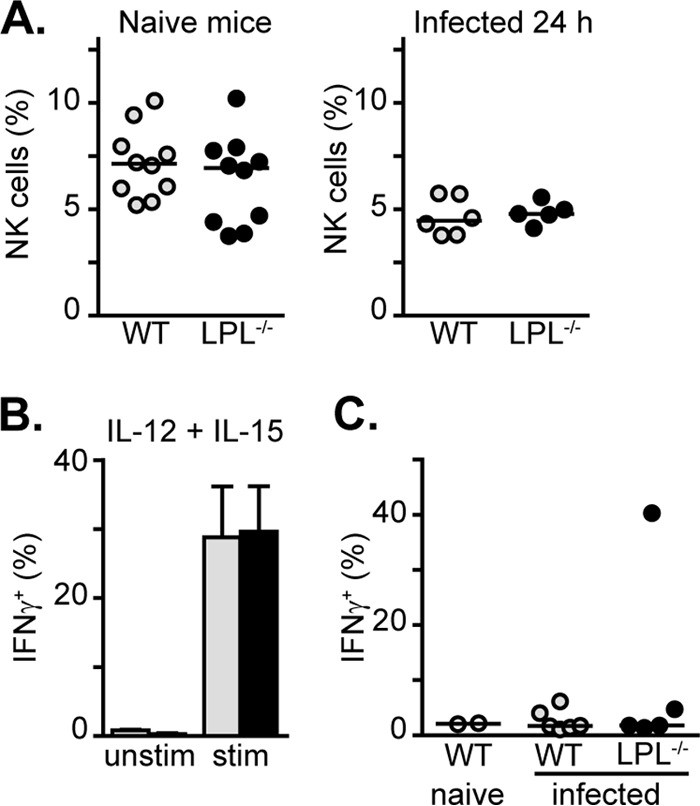 FIG 7