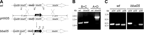 FIG. 4.