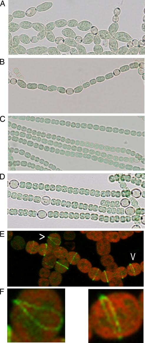 FIG. 5.