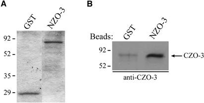 Figure 6.