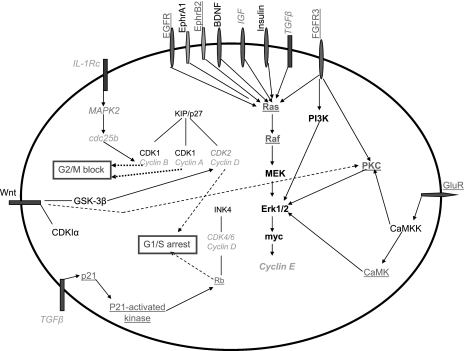 Fig. 9.