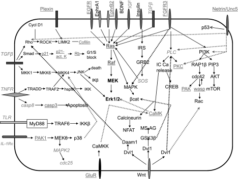 Fig. 10.