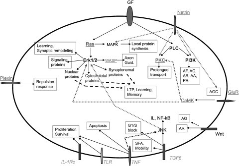 Fig. 8.