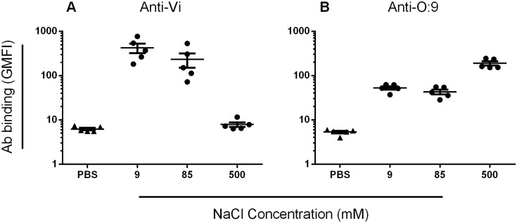 Fig 5