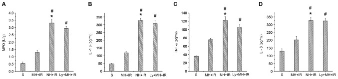 Figure 5.