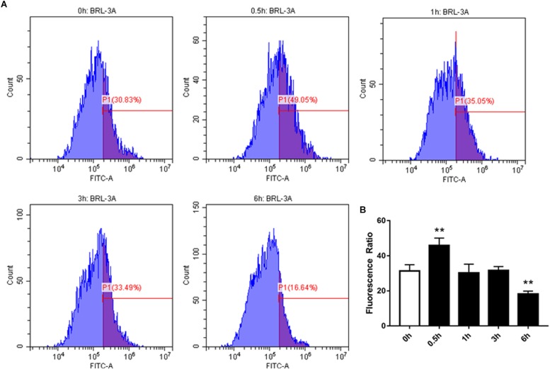 FIGURE 4