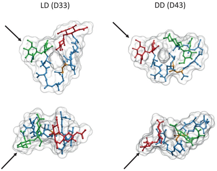 FIGURE 4