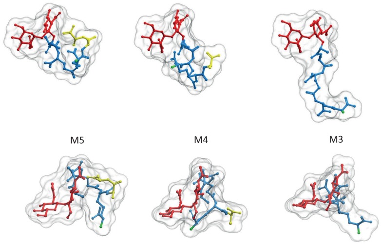 FIGURE 2