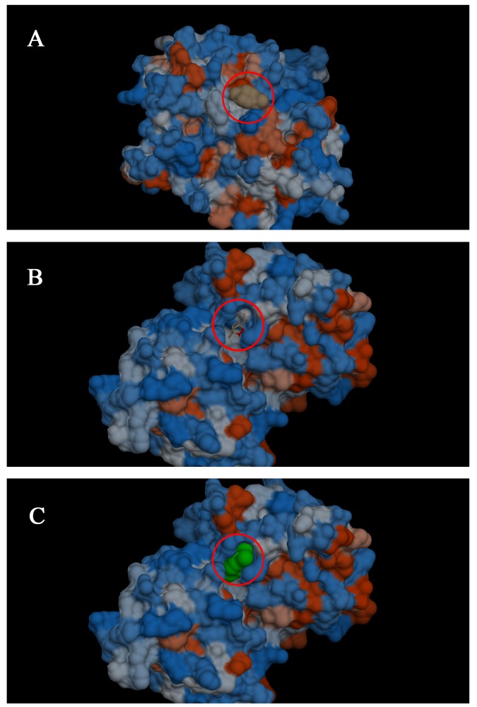 Fig 5