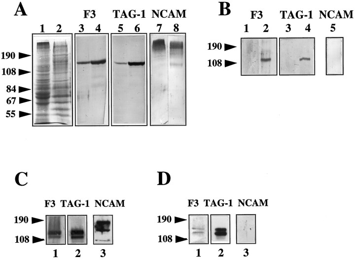 Fig. 11.