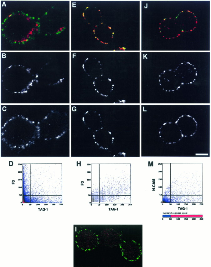 Fig. 10.