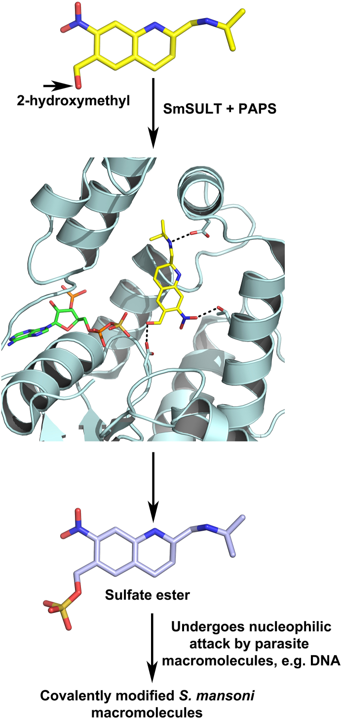 Fig. 2