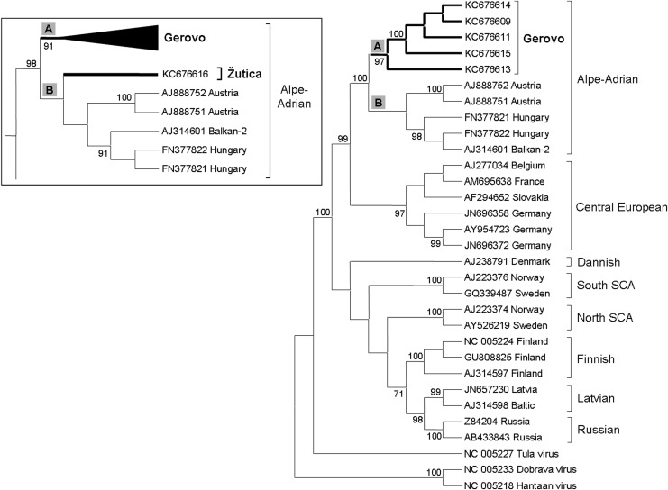 FIG. 2.