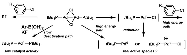 Scheme 5