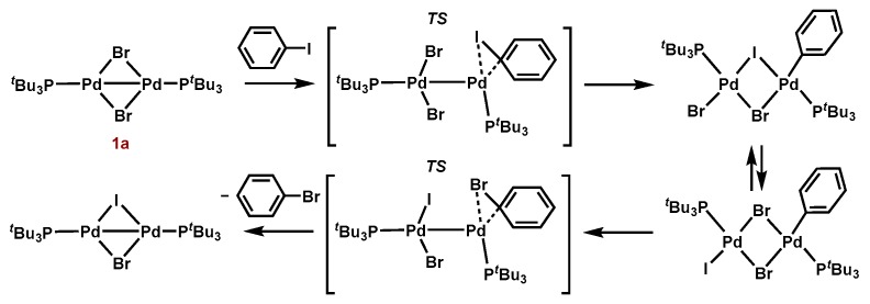 Scheme 7