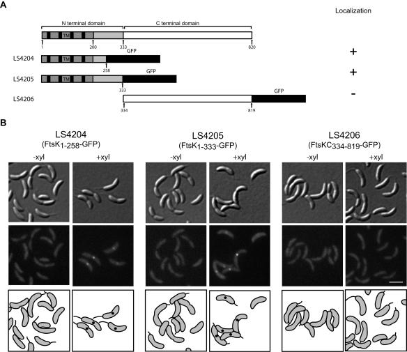 FIG. 4.