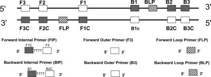 FIG. 1.