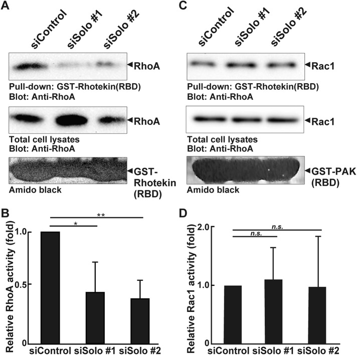 FIGURE 6: