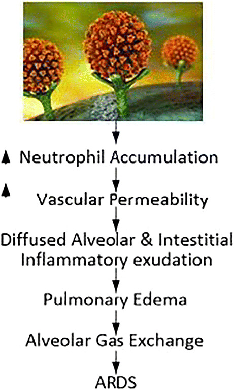 Fig. 24.