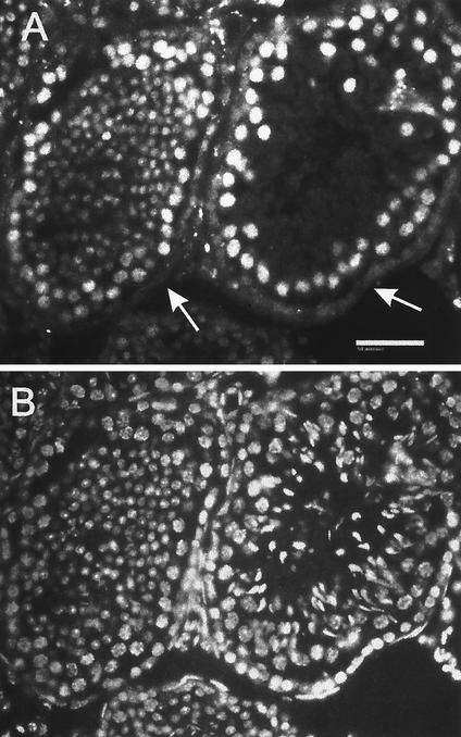 FIG. 13.