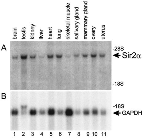 FIG. 10.